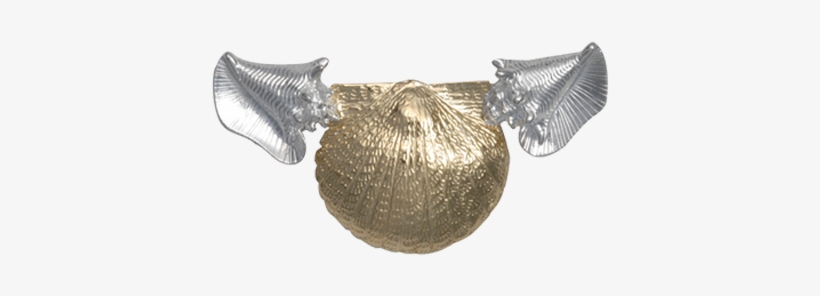 Scallop Shell, Conch Shells Neckslide, transparent png download