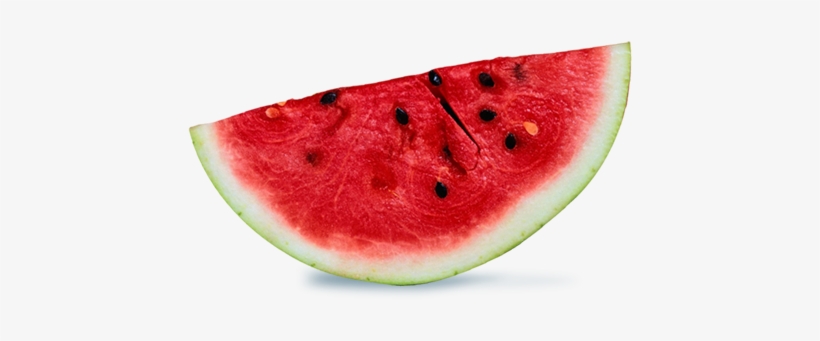 La Sandía, Originaria De Africa, Pero Tiene Una Gran - Cherimoya, transparent png download