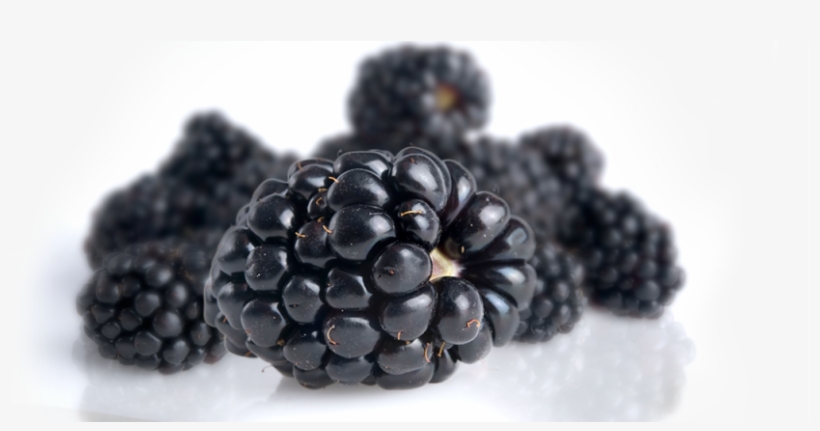 Blackberries - Blackberry, transparent png download