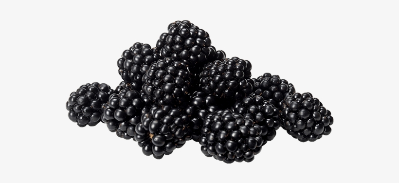 Blackberries - Blackberry, transparent png download