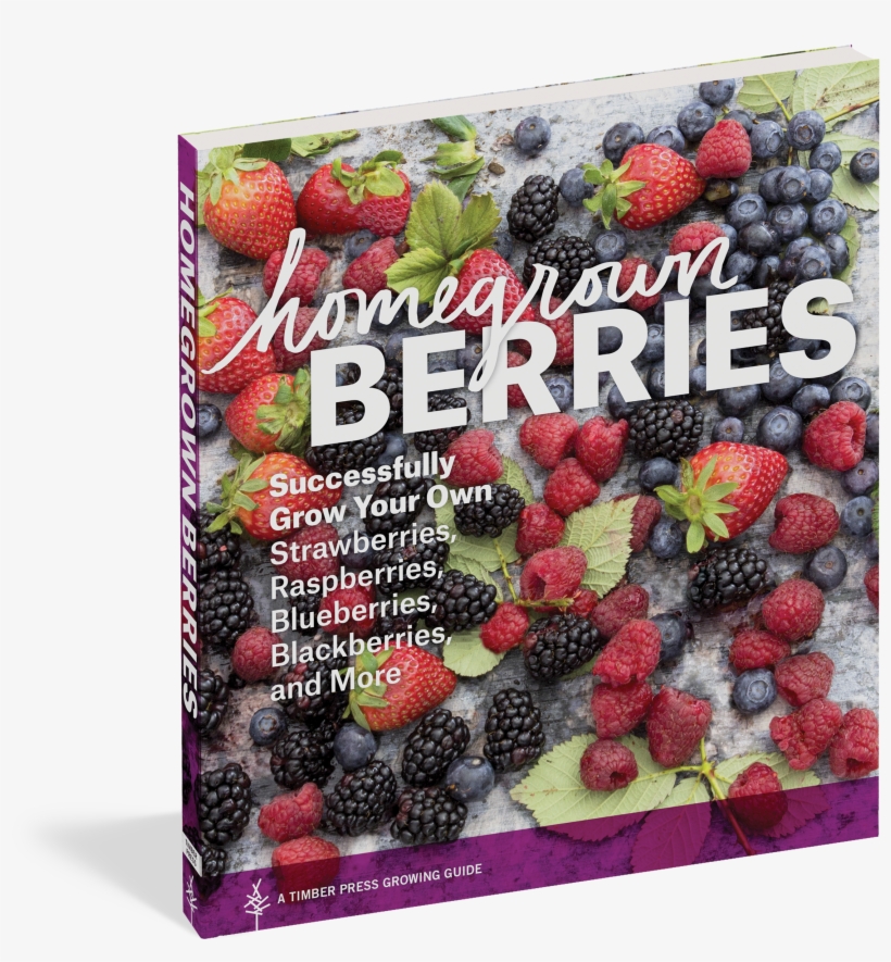 Homegrown Berries - Homegrown Berries By Timber Press 9781604693171 (paperback), transparent png download