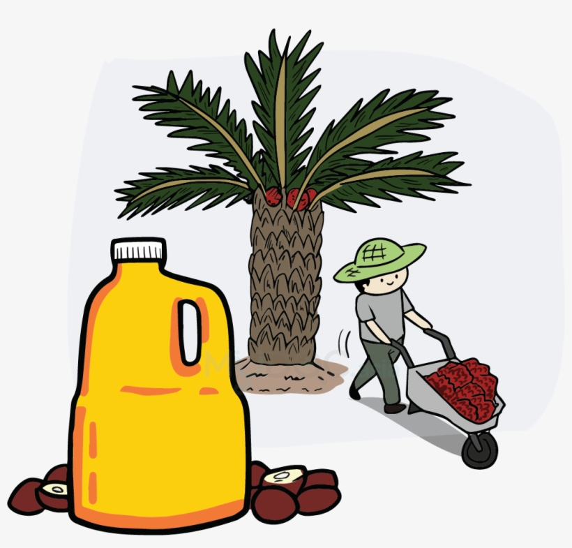 Palm Oil Tree Png Download - Palm Oil Cartoon Png, transparent png download