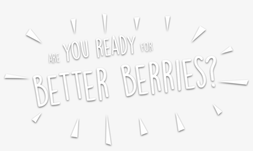About - Raspberry, transparent png download