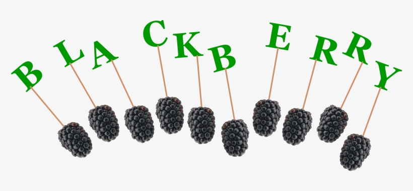 Stafford Labs Orthotics And Prosthetics, transparent png download