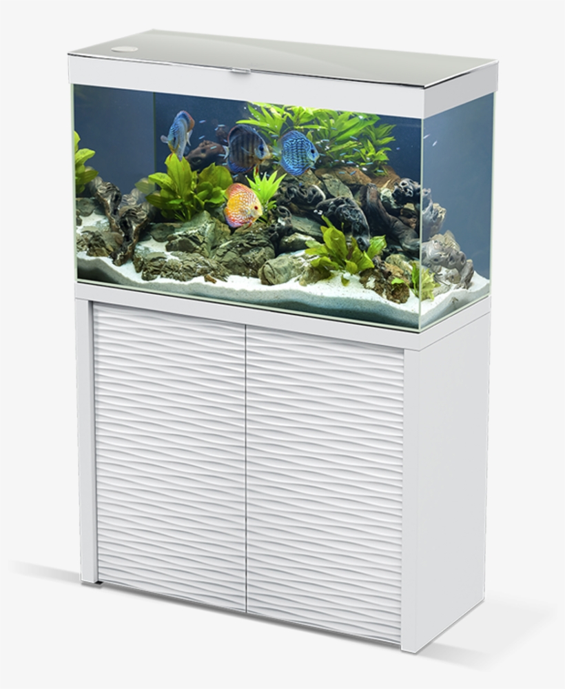 Emotion Nature One, transparent png download