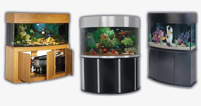 Reef Ready, Saltwater And Freshwater Aquariums - Aquarium, transparent png download