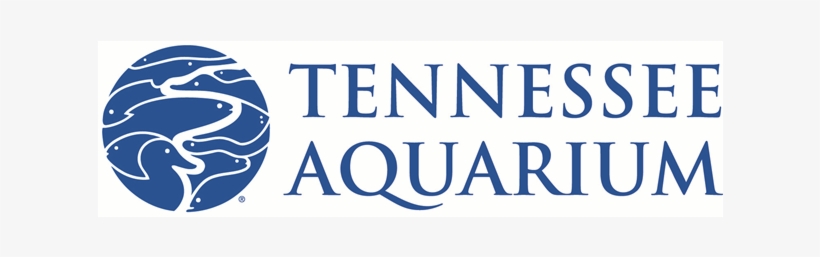 Tennessee College Of Applied Technology Logo, transparent png download
