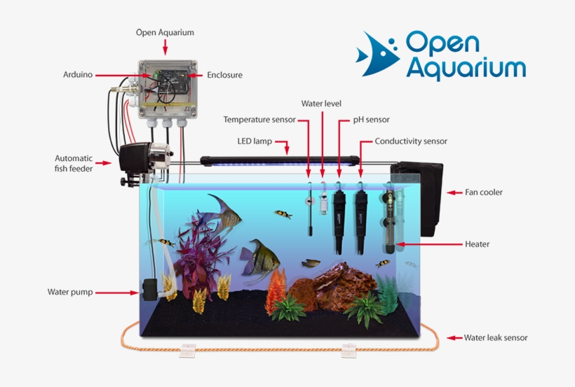 Open Aquarium Consists Of Two Different And Complementary - Arduino Aquarium, transparent png download