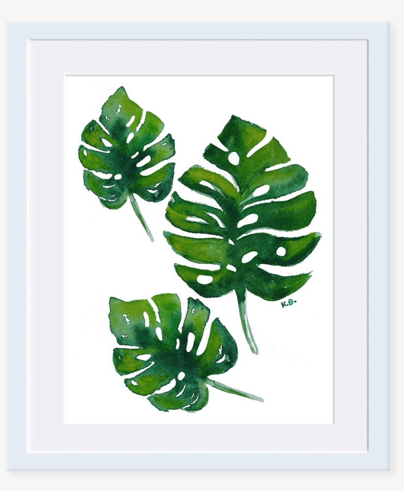 Monstera Deliciosa - Illustration, transparent png download