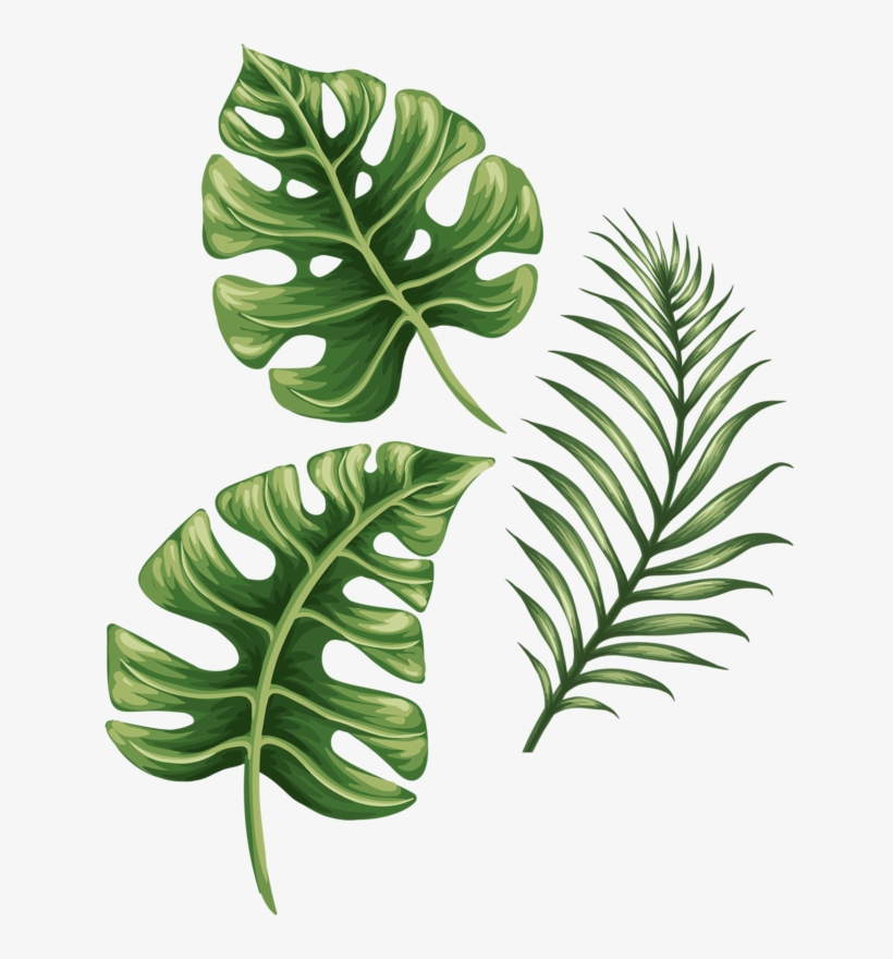 Фото, Автор Soloveika На Яндекс - Summer Time Tropical Plant Flamingo Pillowcase Fresh, transparent png download