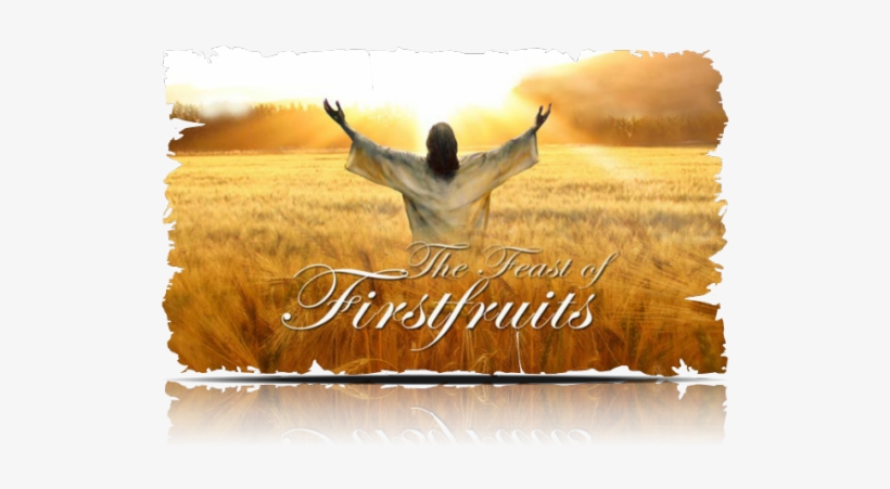 Jesus Feast Of Firstfruit - Feast Of First Fruits, transparent png download