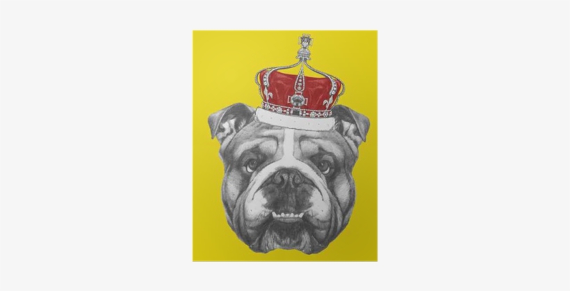 Hand Drawn Portrait Of English Bulldog With Crown - Art Print: Victoria Novak's Original Drawing Of English, transparent png download