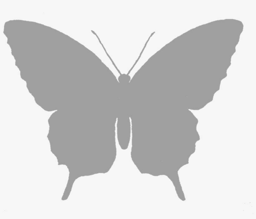 Grayscale Butterfly Silhouette - Butterfly Silhouette Free Png, transparent png download