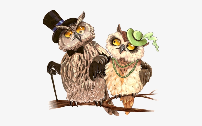 Posh Owl Couple - Sweethome Mrs And Mr Owls Cross Stitch Kits,egypt Cotton,14ct,, transparent png download