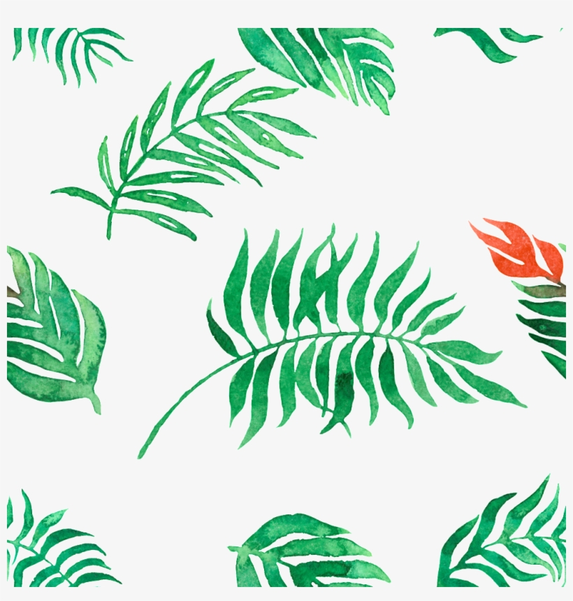 Cartoon Leaf Transparent - Portable Network Graphics, transparent png download