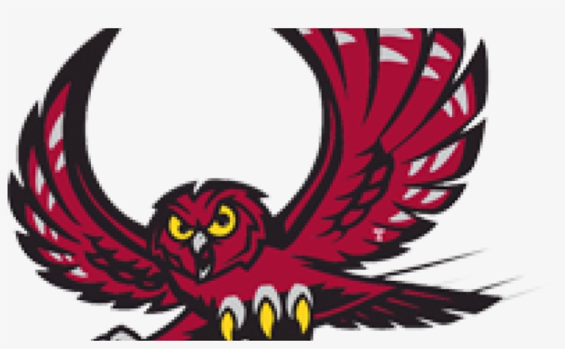 Temple-owls Itok=ww1q44wo - Temple Owl, transparent png download