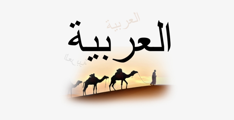 Arabic To English - Kill Yourself In Arabic, transparent png download
