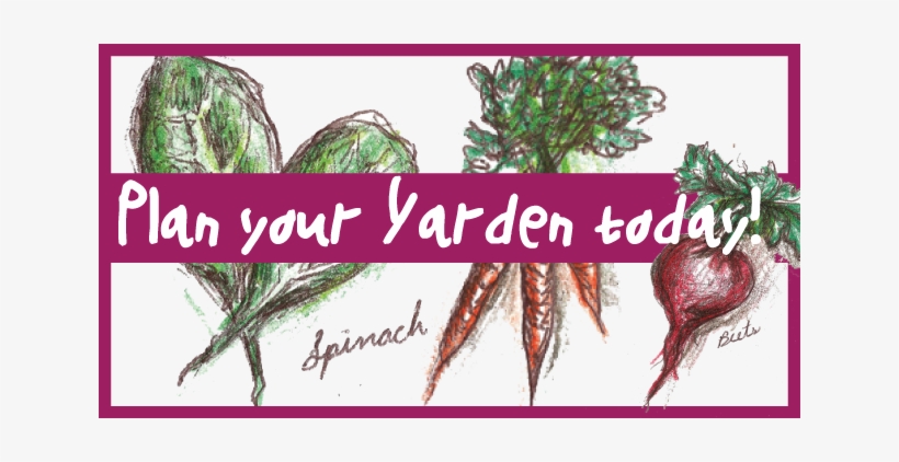 Yarden Web - Arrested Development Valentines, transparent png download