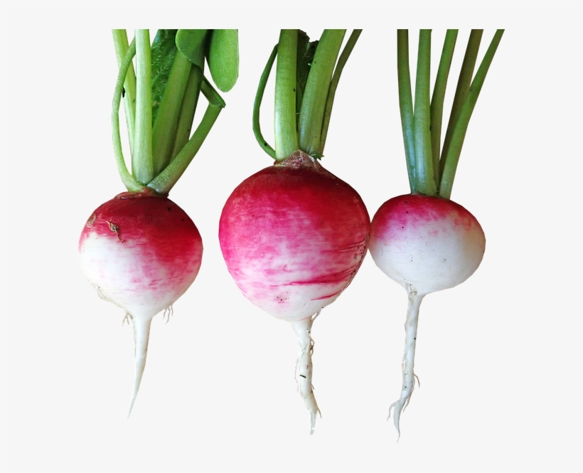 Vegetable, transparent png download