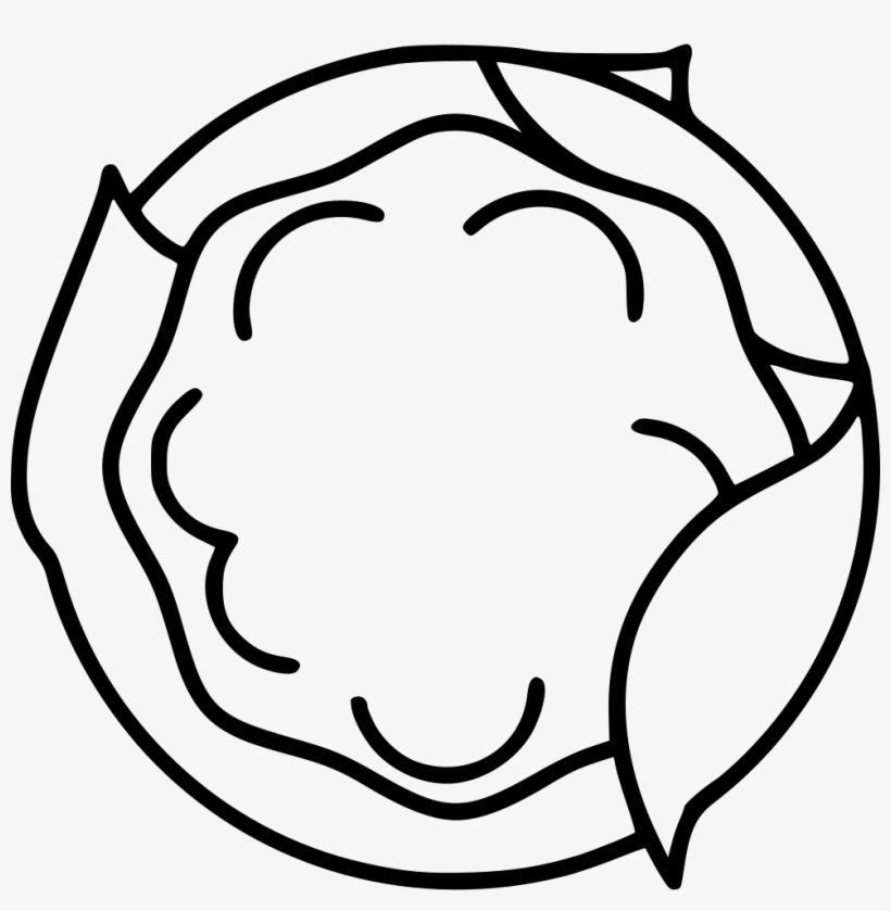 Cauliflower Comments - Drawing, transparent png download