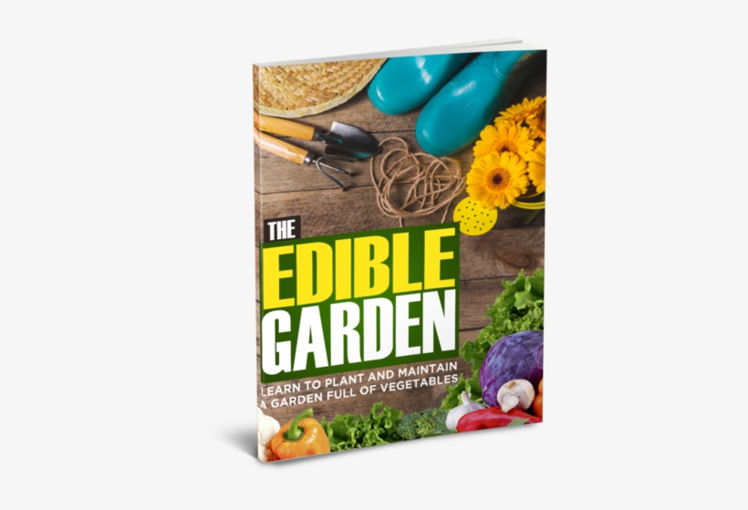 No Patch Of Land Is Too Tiny To Create A Superb Home - Photograph Of Gardening Supplies On Wood Apple Iphone, transparent png download