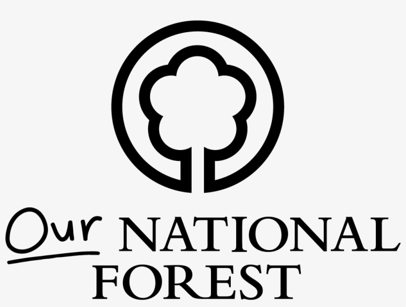 Bringing Young People And The Forest Together - National Academy Of Osteopathy, transparent png download