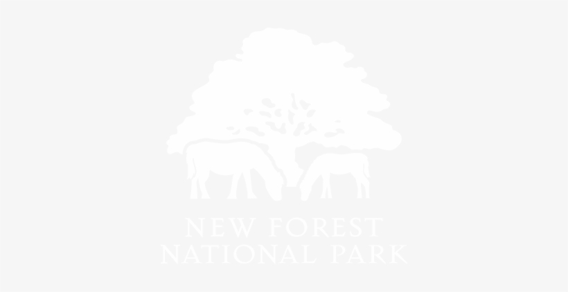 New Forest National Park Tour Guide - New Forest National Park Logo, transparent png download