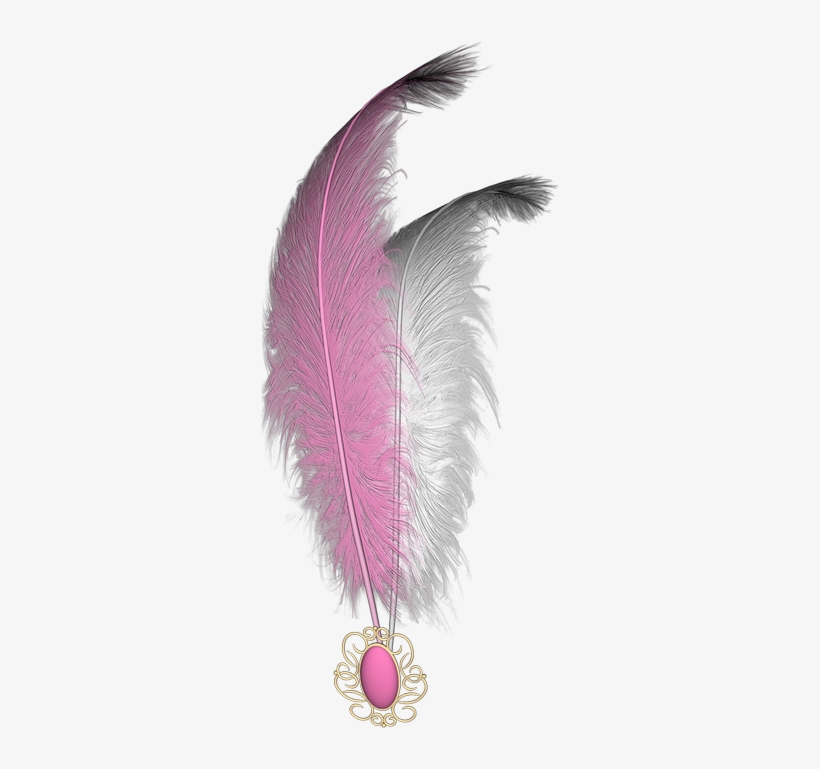 Feather Png - Dance Of The Feathers Tote Bag, transparent png download