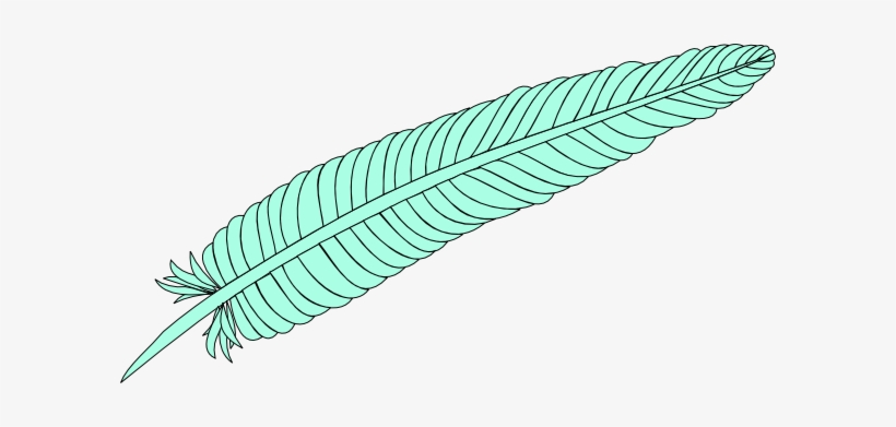 This Free Clipart Png Design Of Feather Clipart - Clip Art, transparent png download