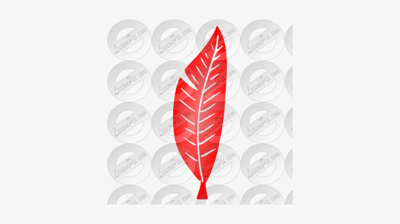 Feather Clipart Stencil - Feather, transparent png download