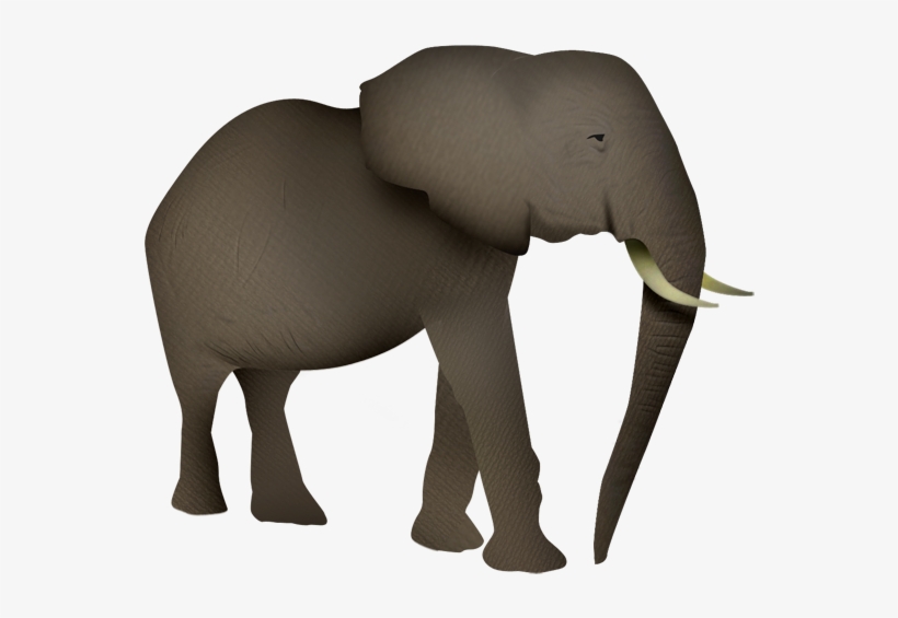 Elefante - Indian Elephant, transparent png download