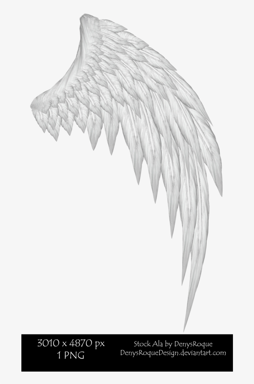 Alas De 1 Por Denysroquedesign Por Denysroquedesign - Alas Blancas De Angel Png, transparent png download