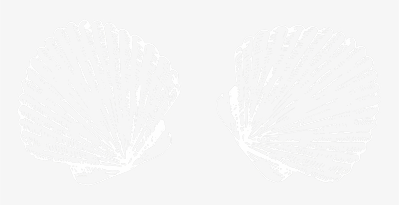 King Scallops - Close-up, transparent png download