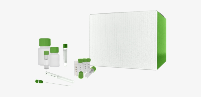 Norgen Biotek Saliva Rna Collection And Preservation - Gadget, transparent png download