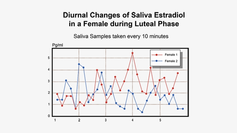 Diurnal Changes Of Saliva Estradiol In A Femal During - Gilbert Match Xv Rugby Ball, transparent png download