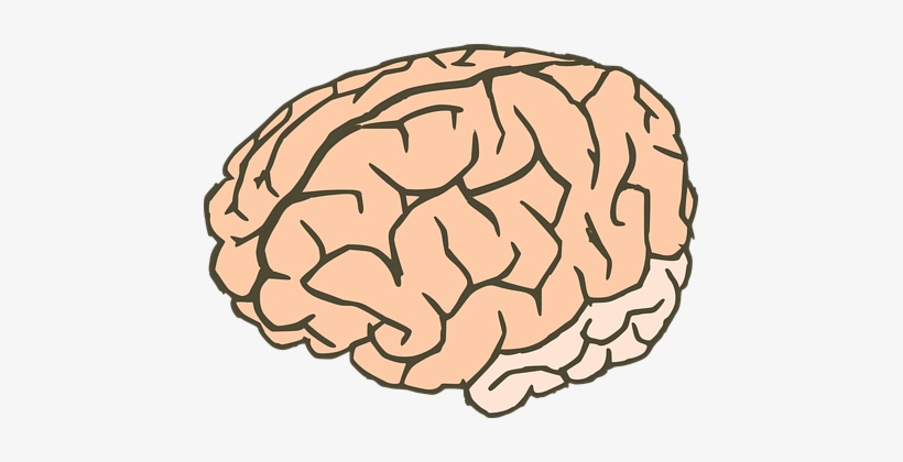 Neurons Images - Workings Of An Idle Mind: A Collection Of Short Stories, transparent png download