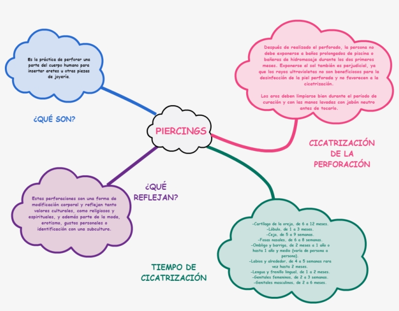 Mindmap Output Tiempo De Cicatrización Input ¿qué Reflejan - Body Piercing, transparent png download