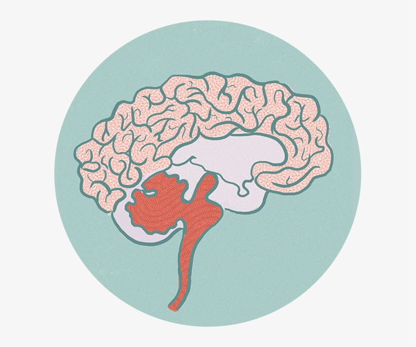 'using Simple Comics, Concise Explanations And A Healthy - Illustration, transparent png download