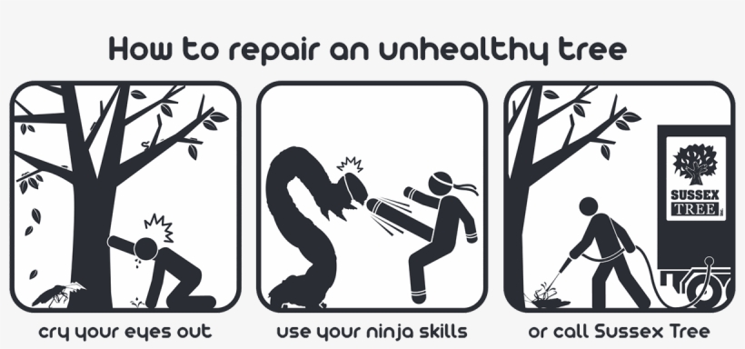 Plant Healthcare Cartoon - Illustration, transparent png download