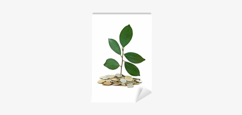 Coin, transparent png download