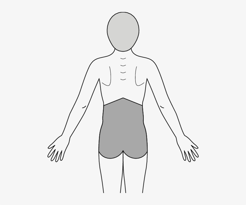 Definition Of Low Back Pain According To Preshaded - Low Back Pain Definition, transparent png download