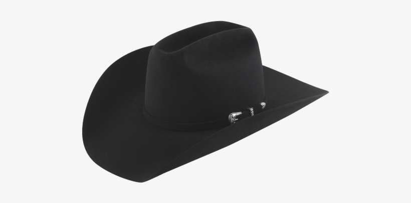 20x Punk Carter Signature Cowboy Hat - Texanas Resistol, transparent png download