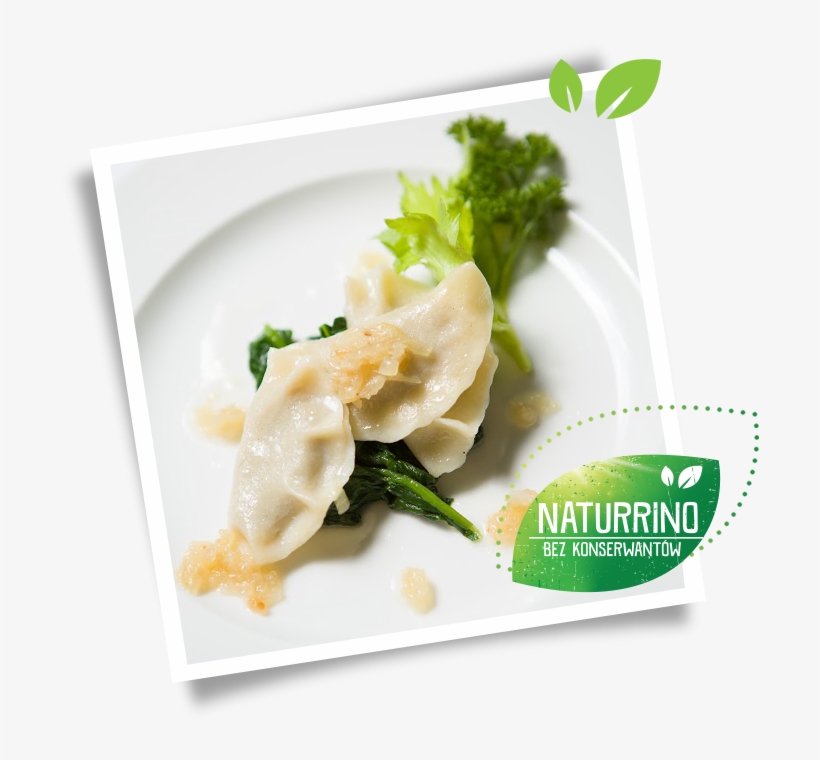 Naturrino Pate Dumplings - Salad, transparent png download