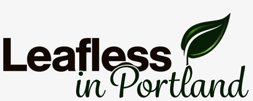 Guard Your Home From Falling Debris - Weichert, Realtors, transparent png download