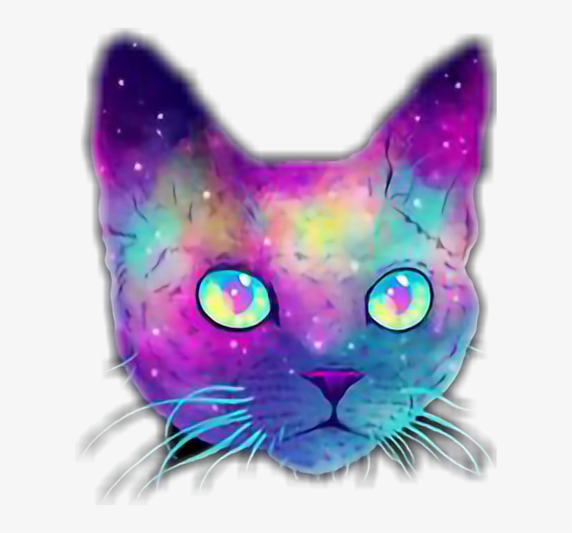Imagenes De Gatos Galaxia, transparent png download