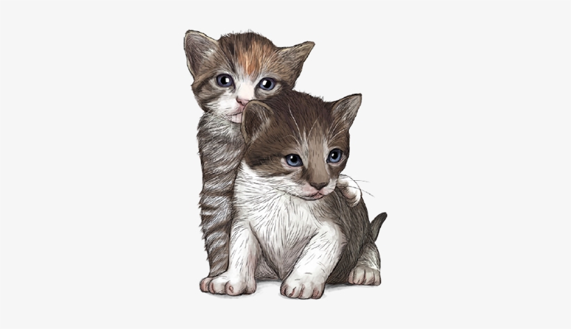 Maternal Es Un Alimento Completo En Polvo, Adecuado - Gosbi Maternal Cat. Leche En Polvo Para Gatitos 250, transparent png download