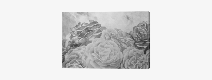 Black And White Roses In Hand Painted Watercolor Background - Watercolor Painting, transparent png download