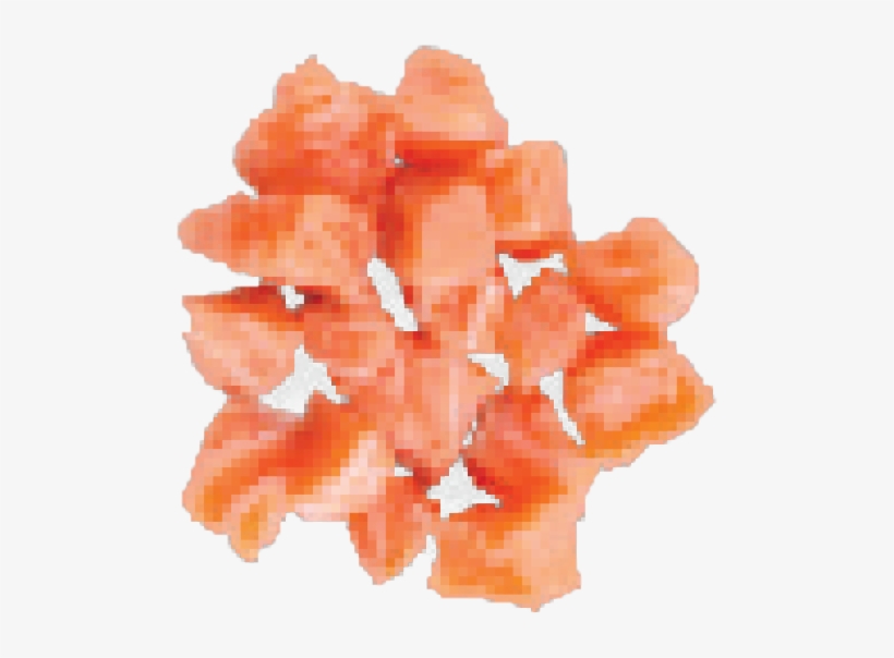 Impatiens, transparent png download