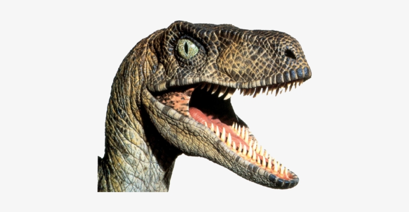 16k Badchat 24 Feb 2015 - Should You Never Fight A Dinosaur Meme, transparent png download