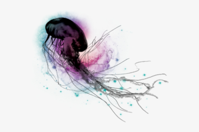 Jellyfish Psd, transparent png download